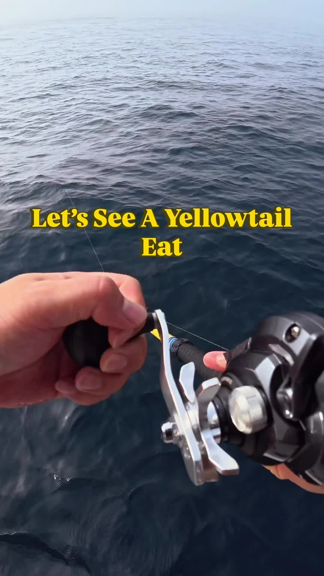 @BP FISHING