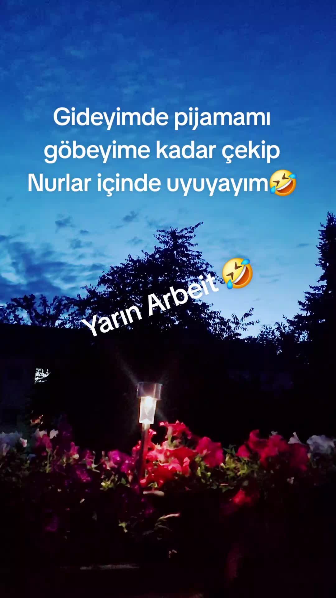 @Sevinç ceyda