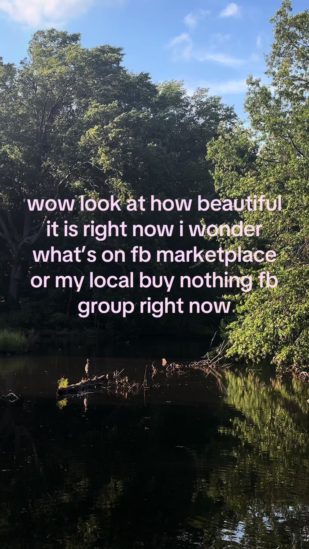 @angie ✶