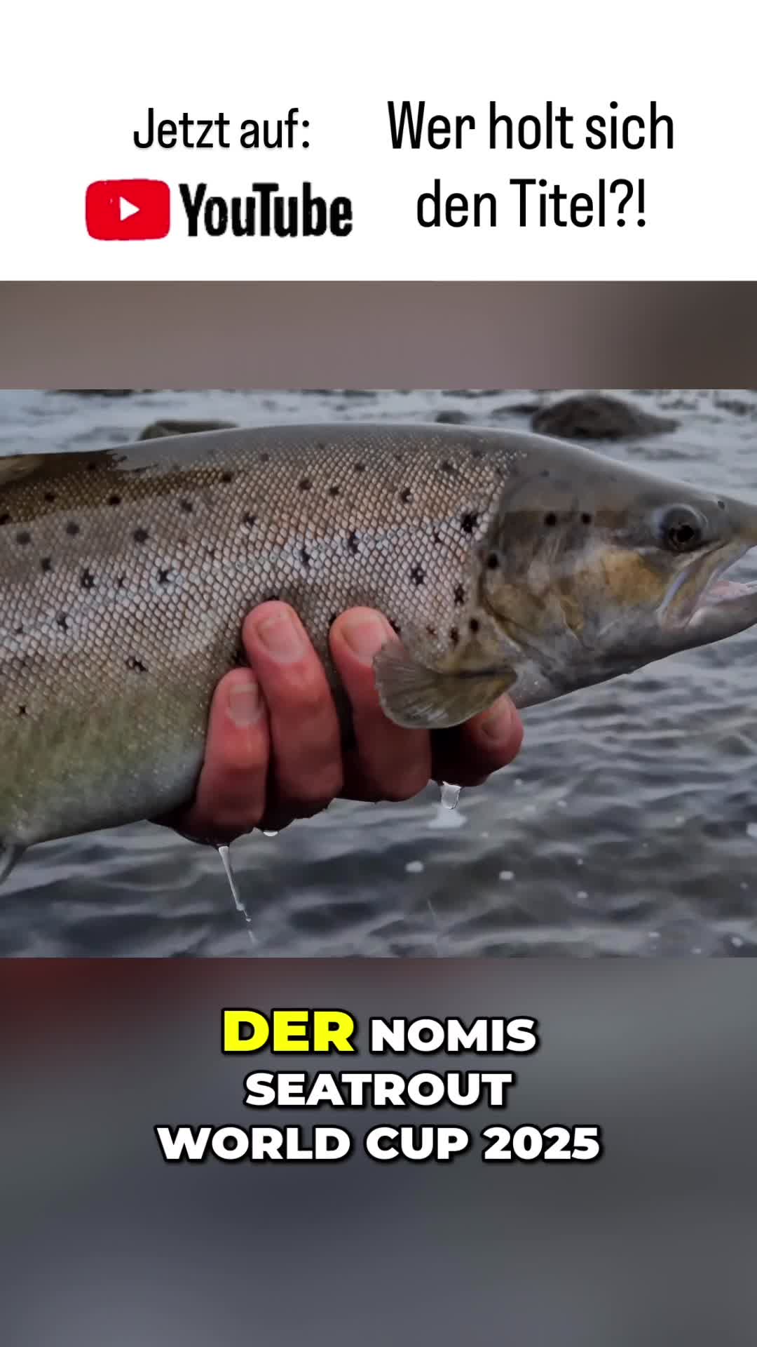 @NØMIS Fishing