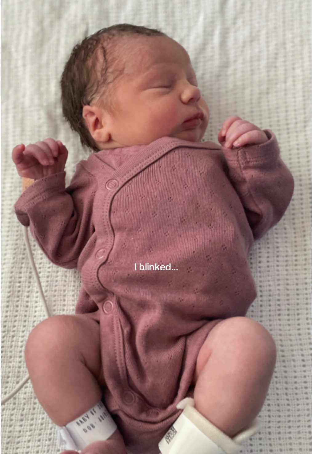 @zoeandherpreemies