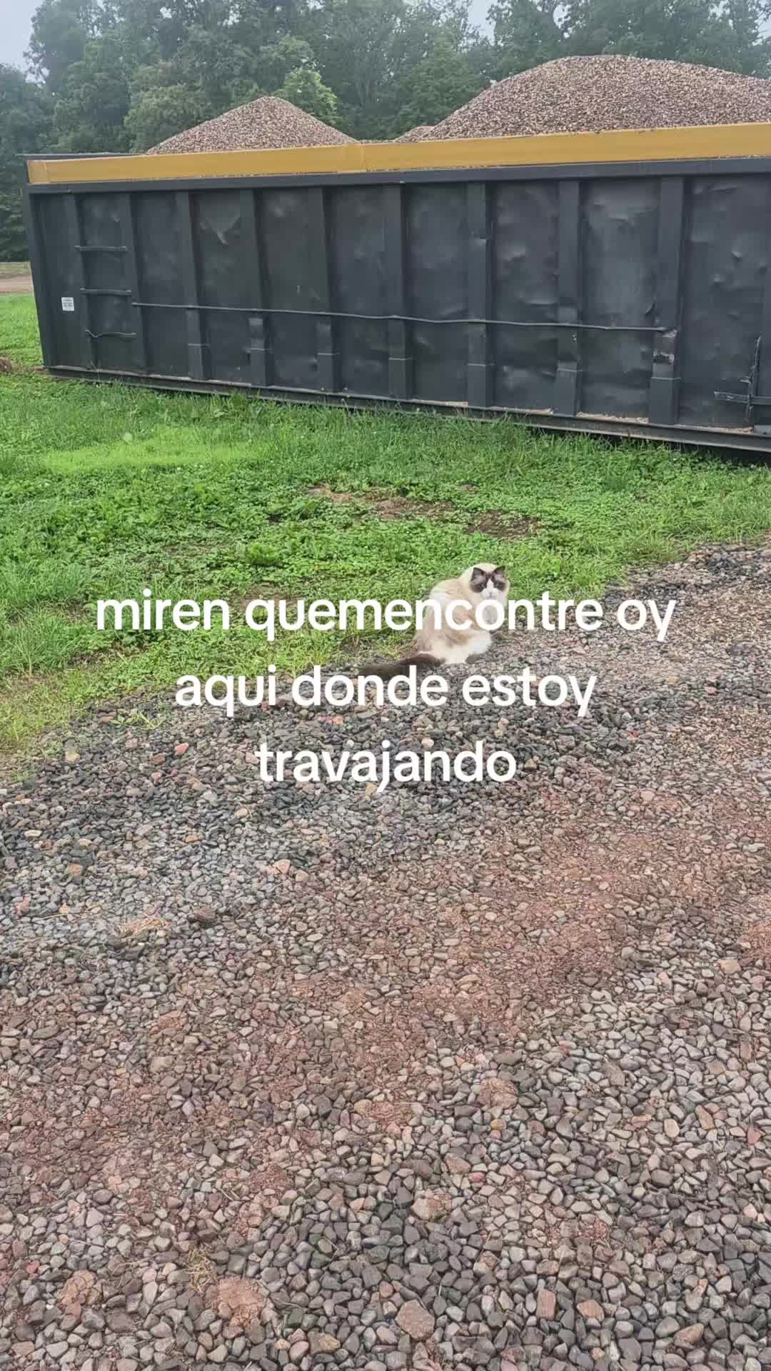 @hernan navarete