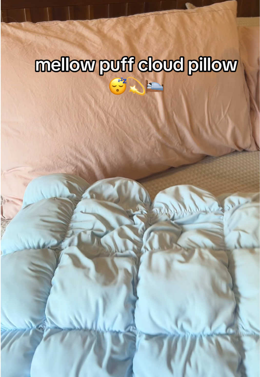 @Velvet Paws