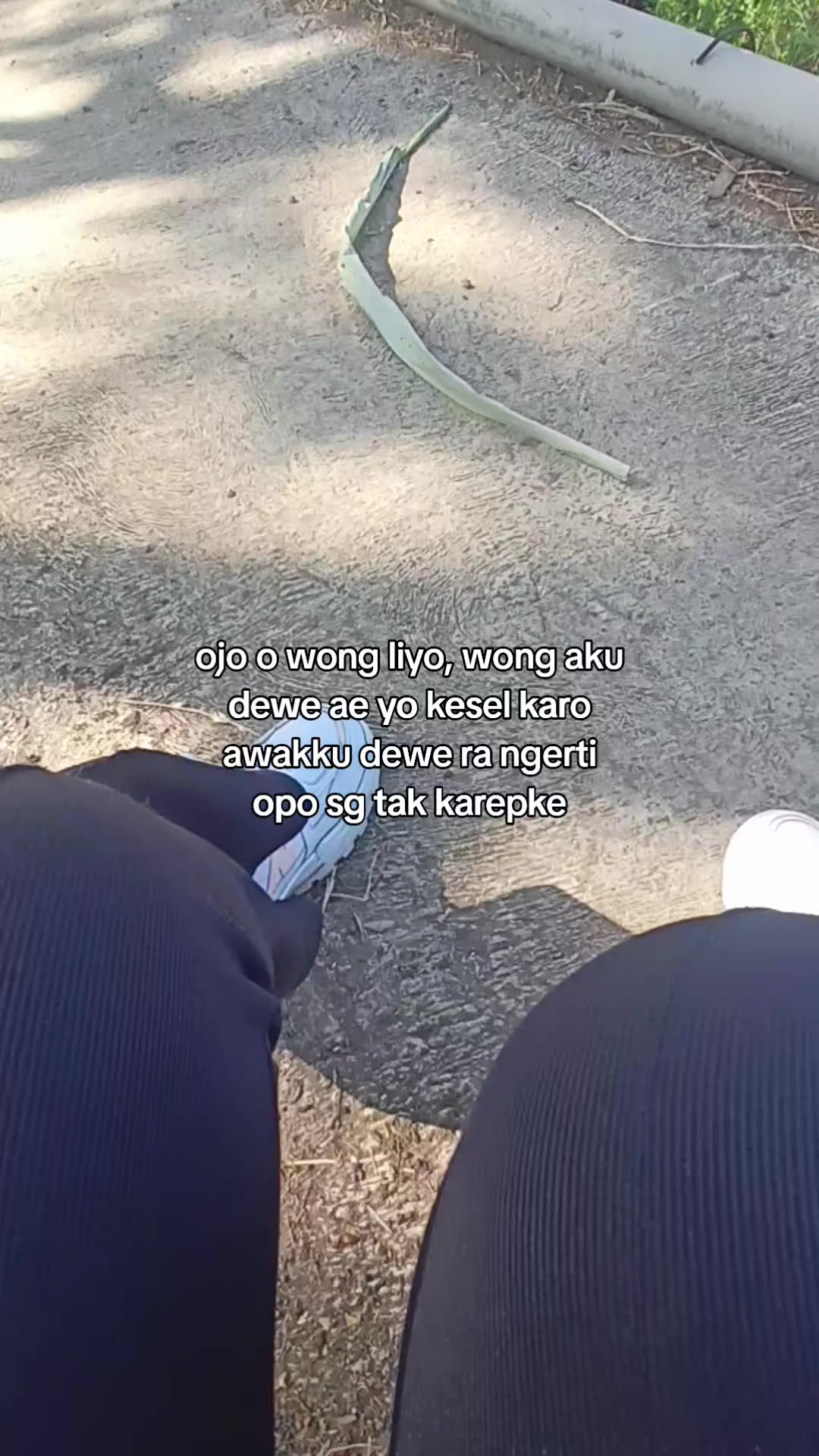 @☘︎ ᥫ᭡☻ᥫ᭡ඞ  ♌         🦟