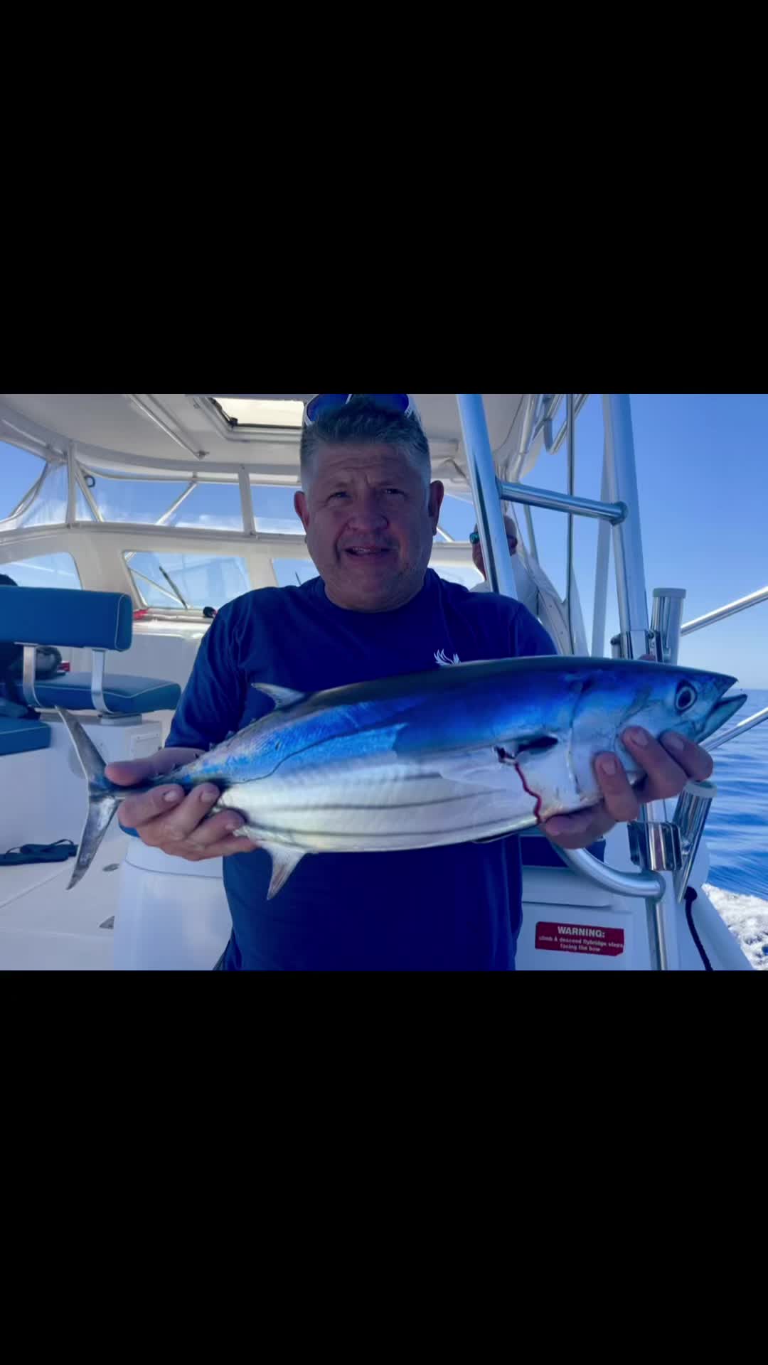 @Flipper II Madeira Fishing