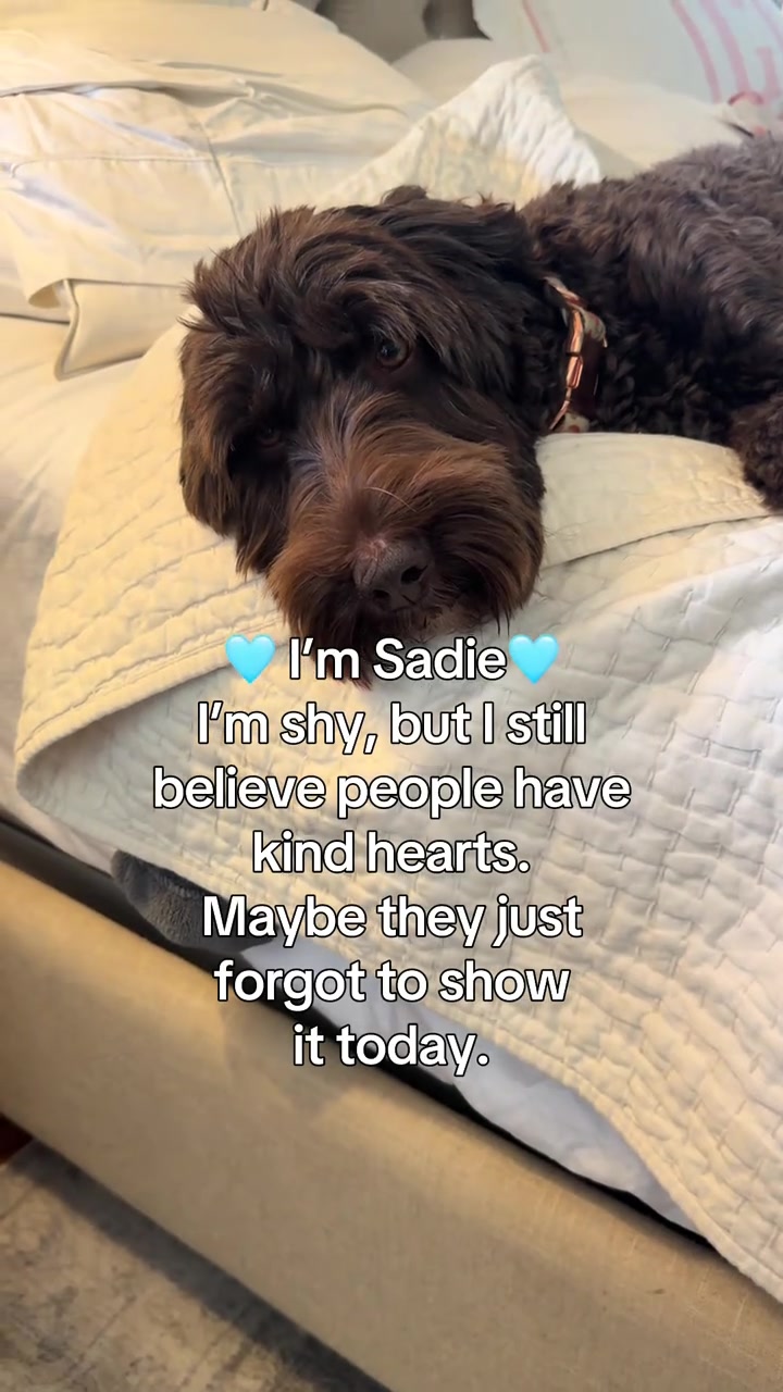 @Sadie the Doodle
