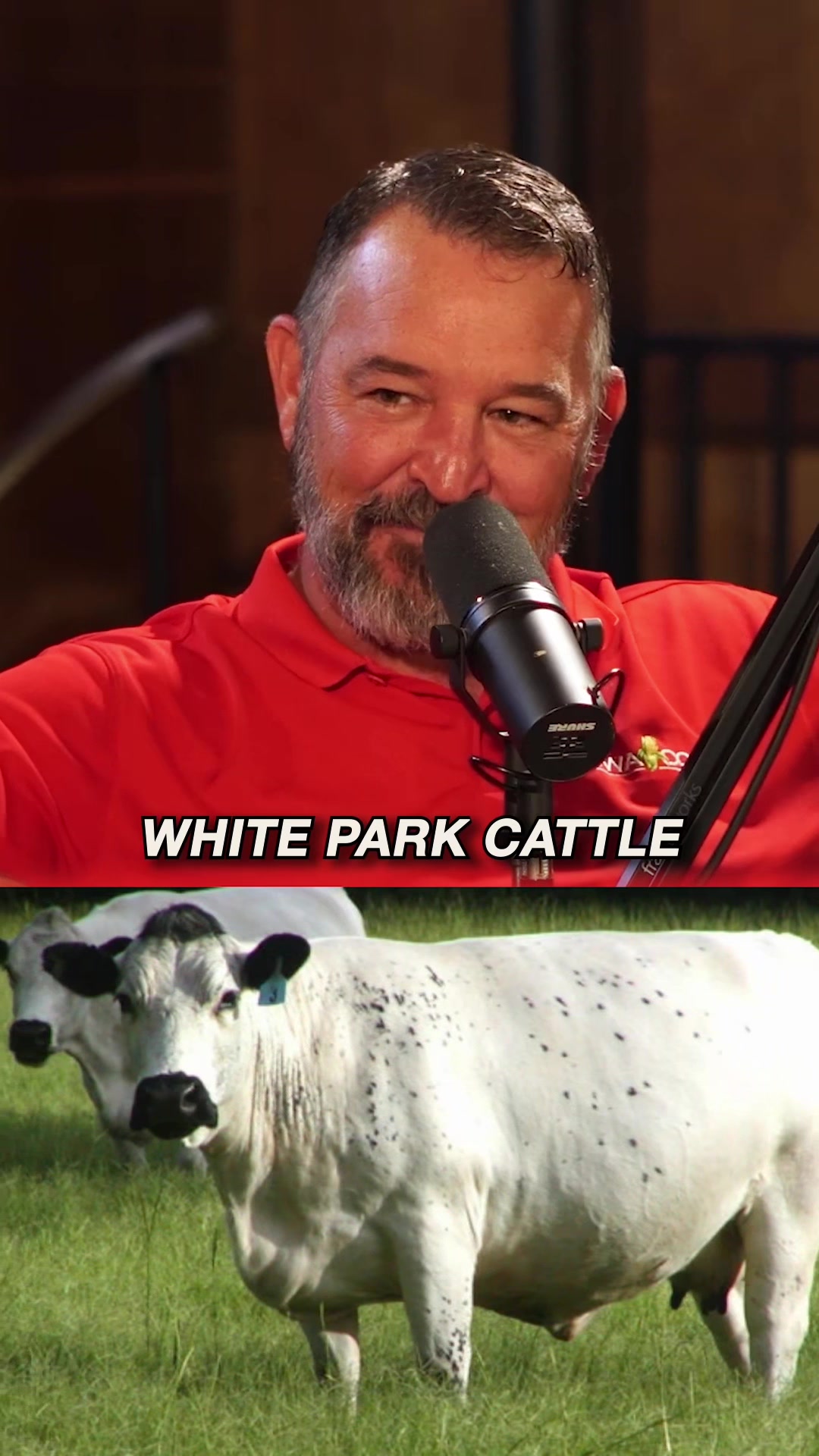 @Barn Talk