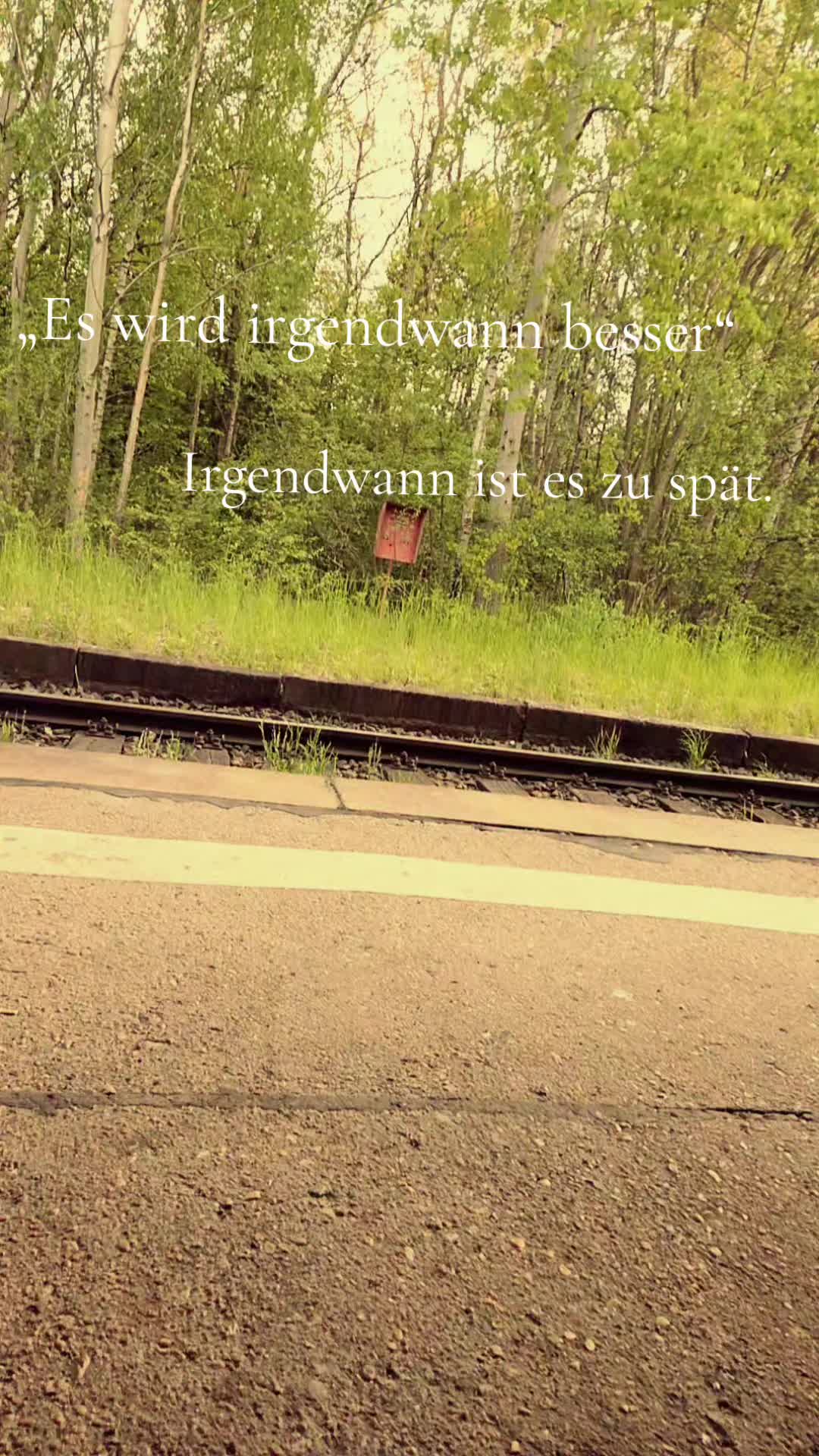 @𝒥𝒶𝓏𝓏🍃🎧💭