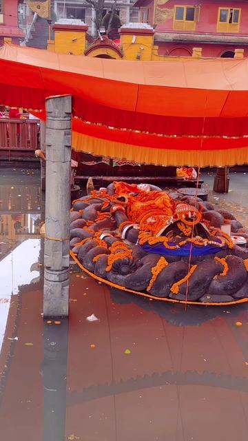@Pasang Lhamo