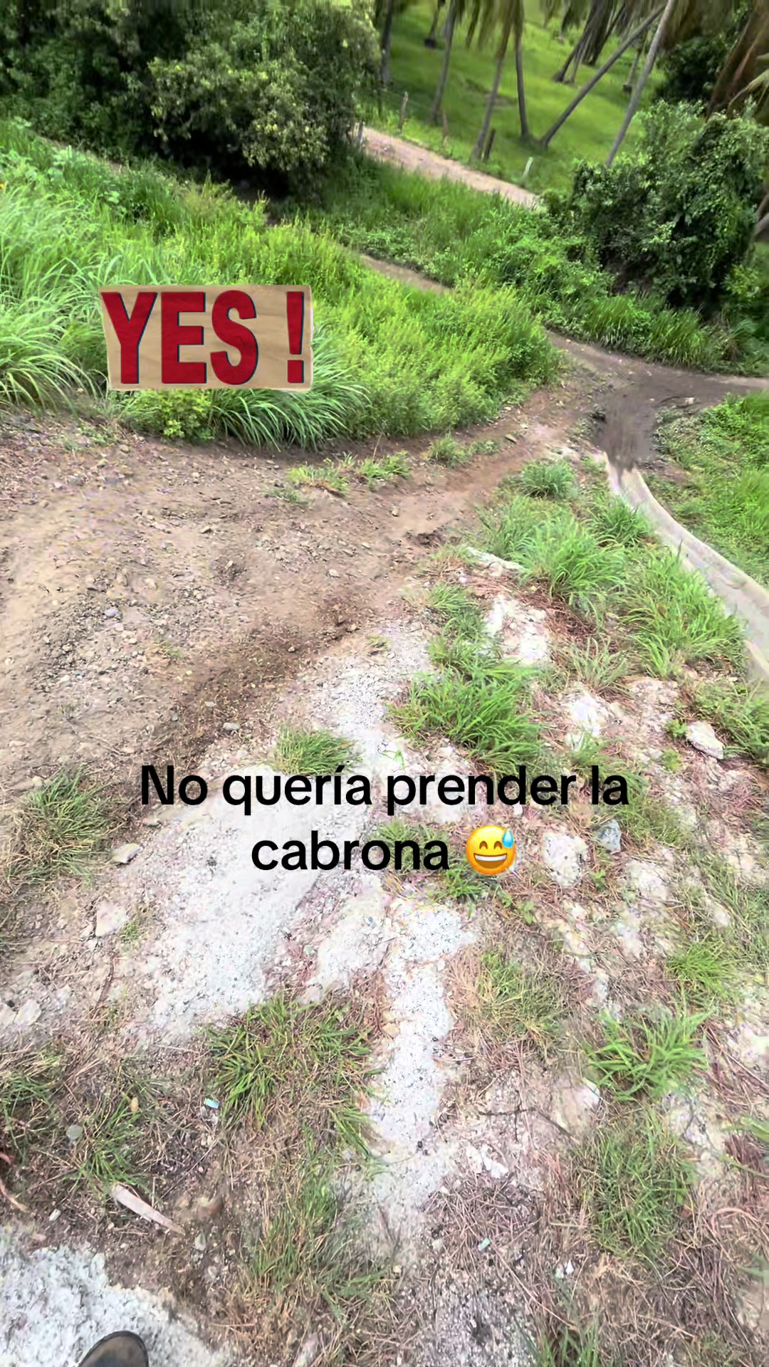 @ALEXANDER LAINA MENA