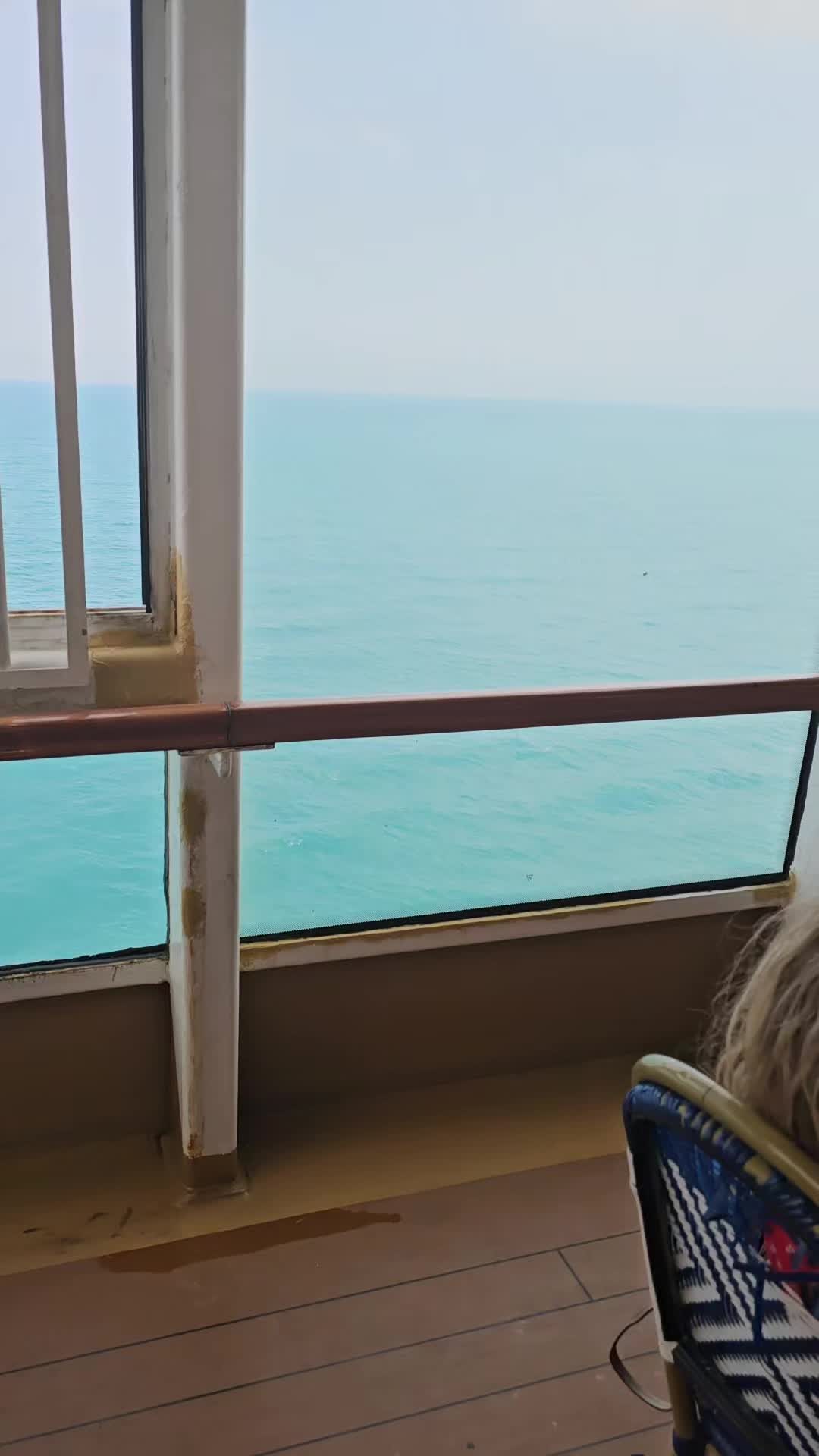@Qurrat' Vlog
