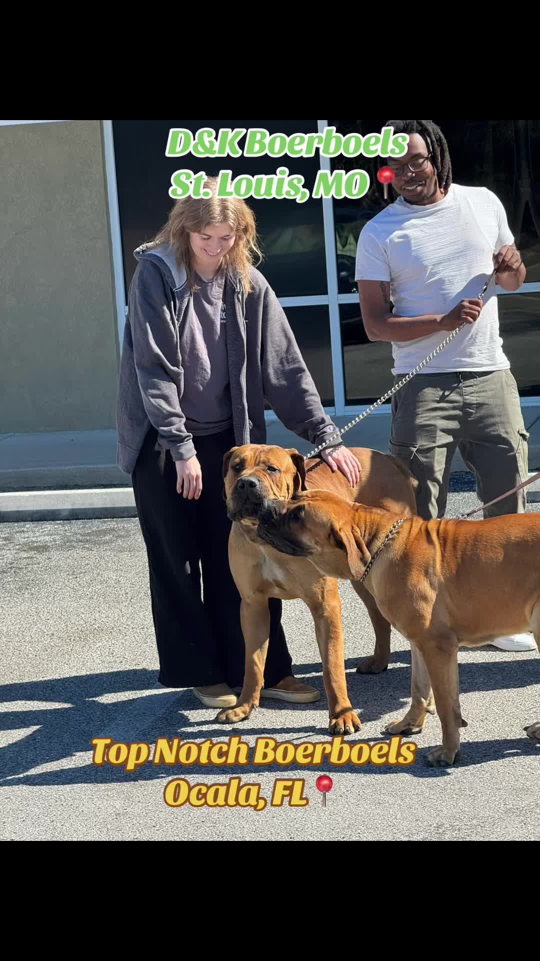 @D&K Boerboels
