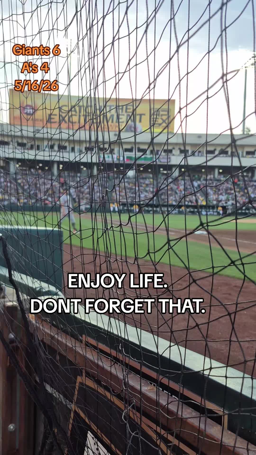 @yogi