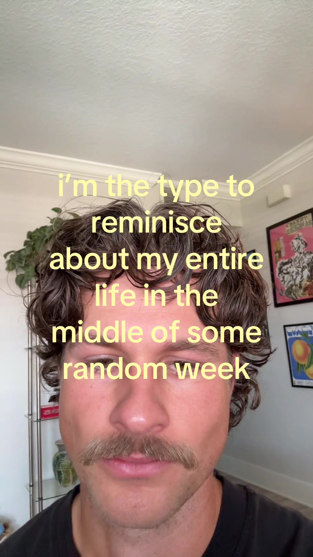 @shane