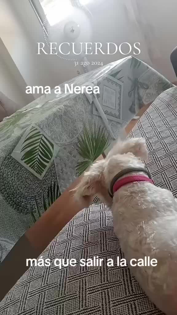 @Yasmina Lopez