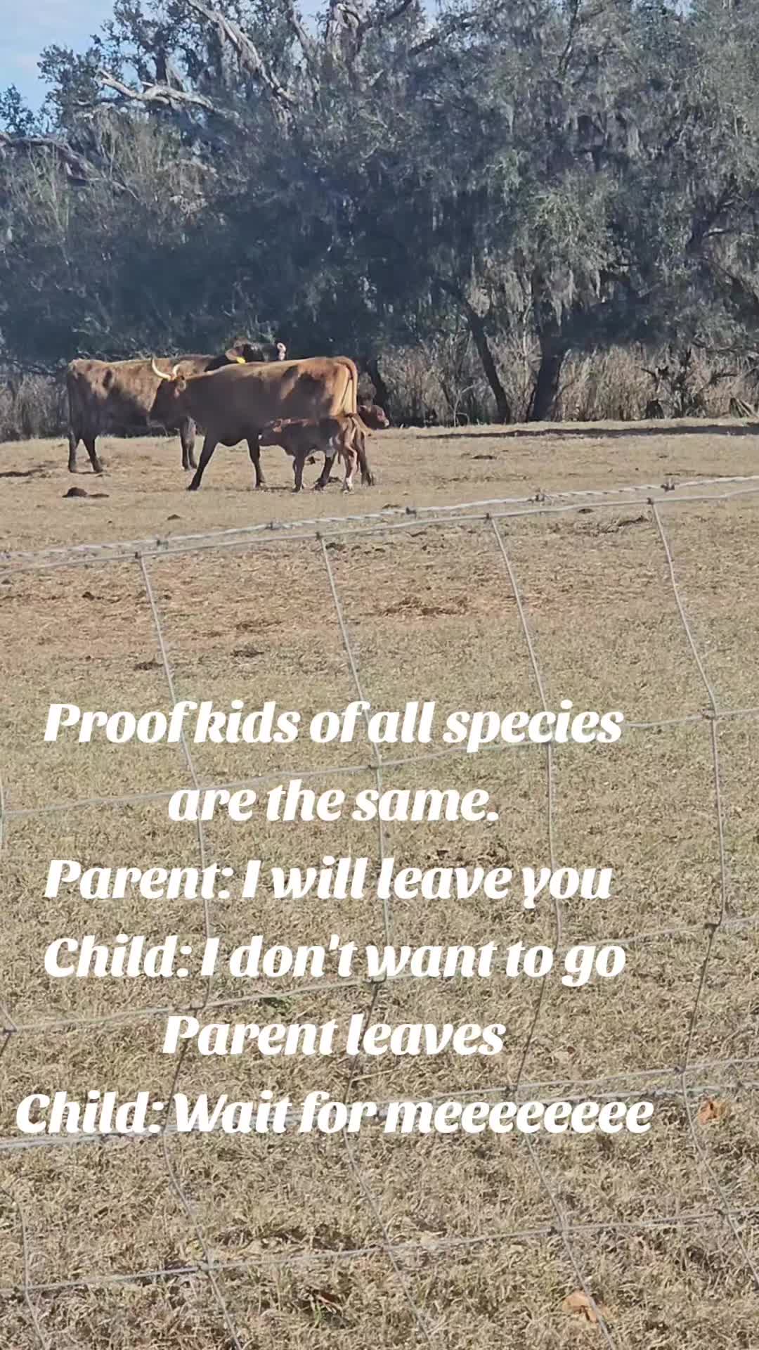 @Cin