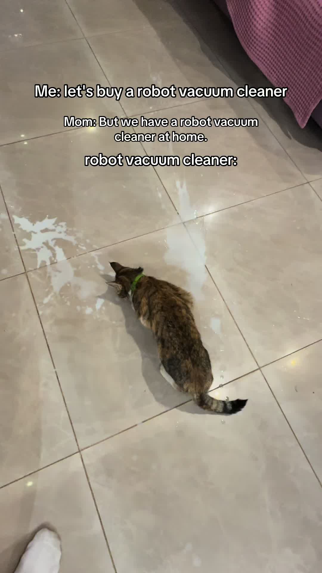 @๐๐๐ข๐๐๐๐ข