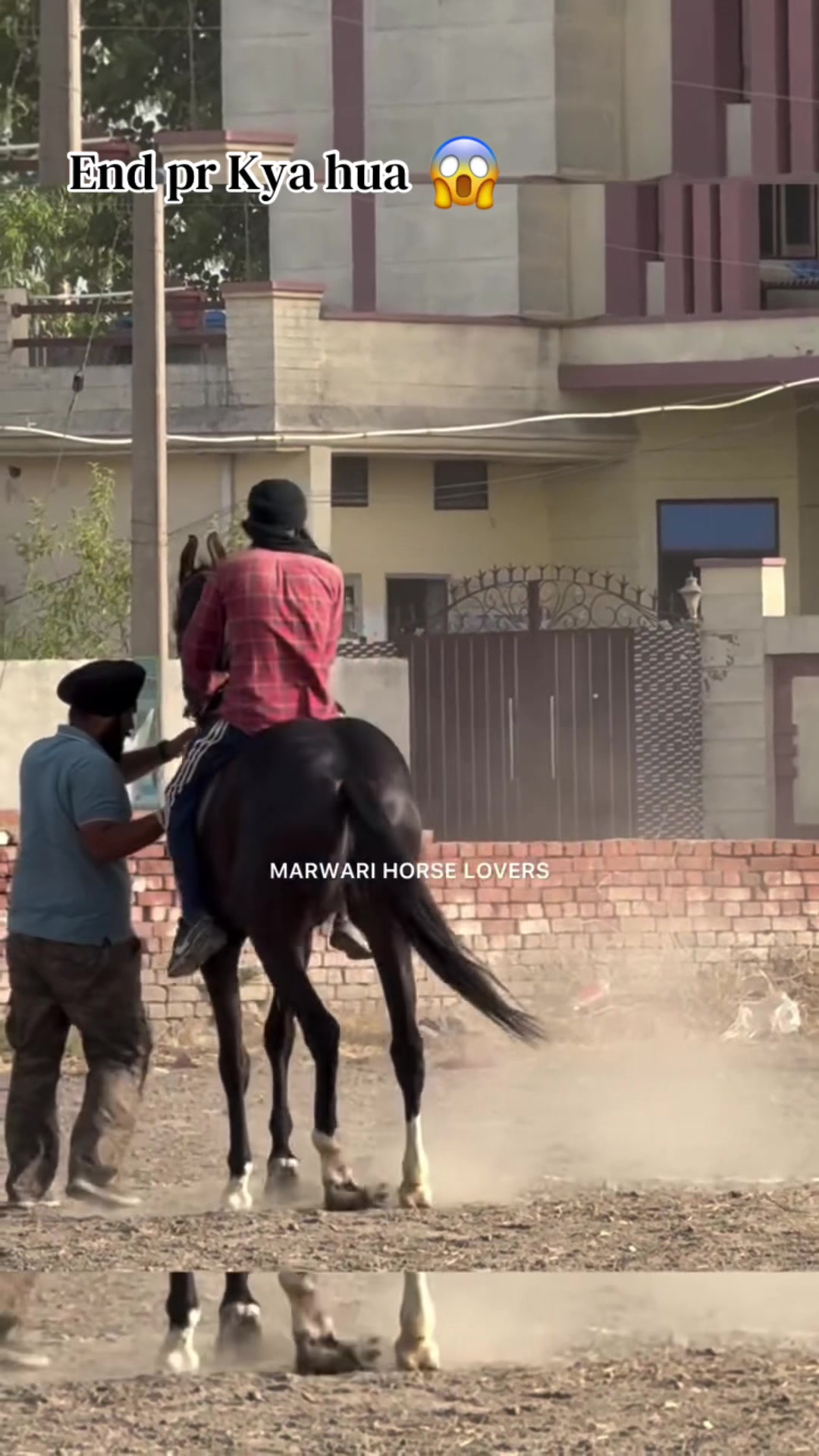 @🏇 MARWARI HORSE RACING 🏇