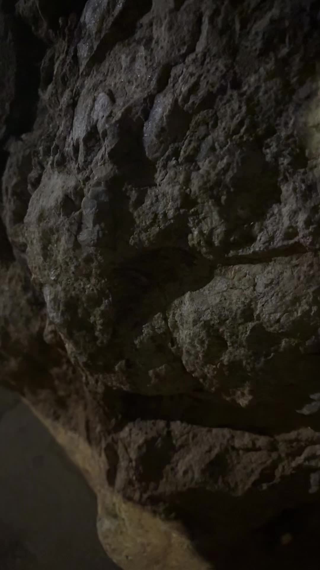 @TTaleOfGhost