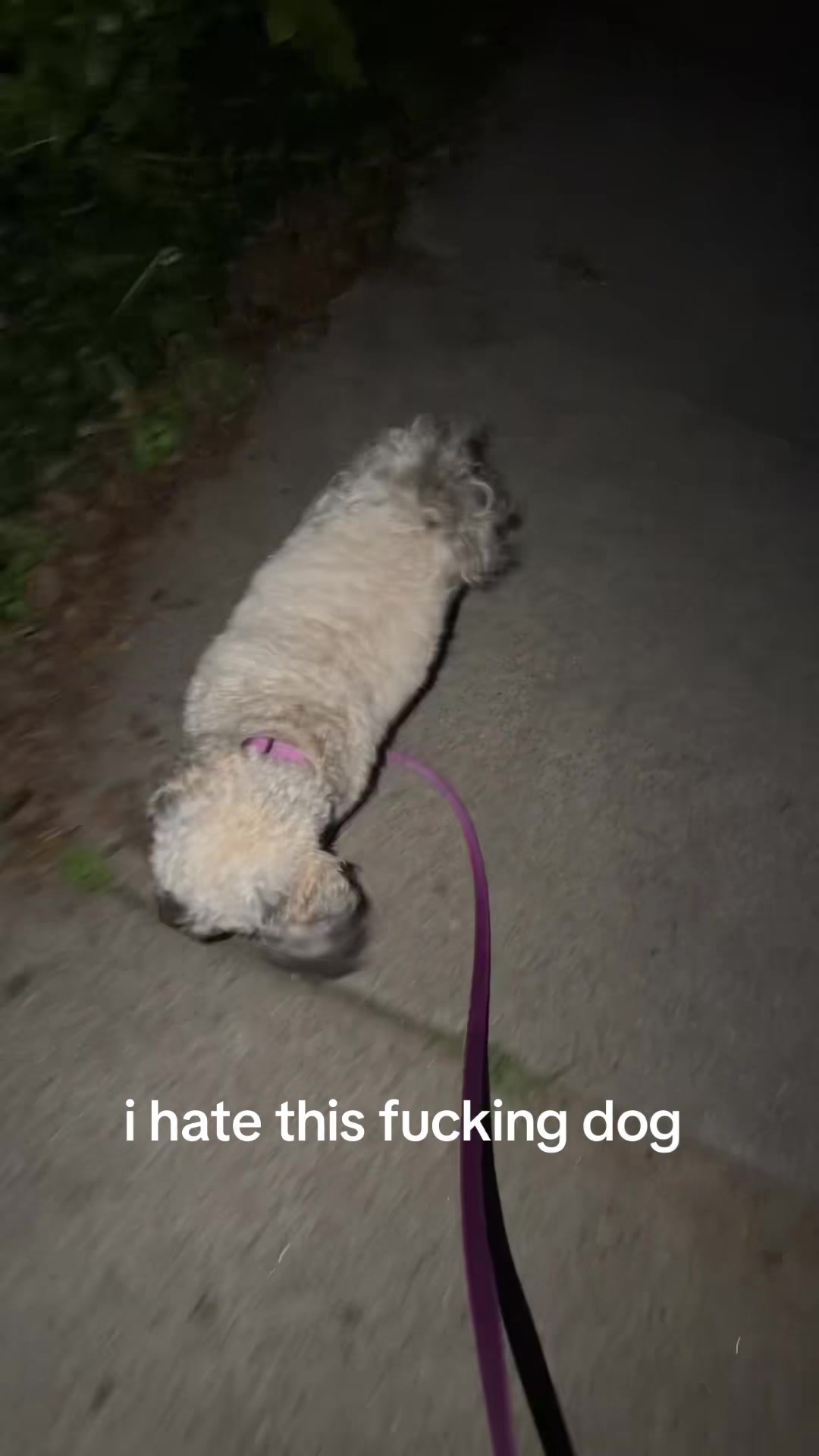 @Elliebellie
