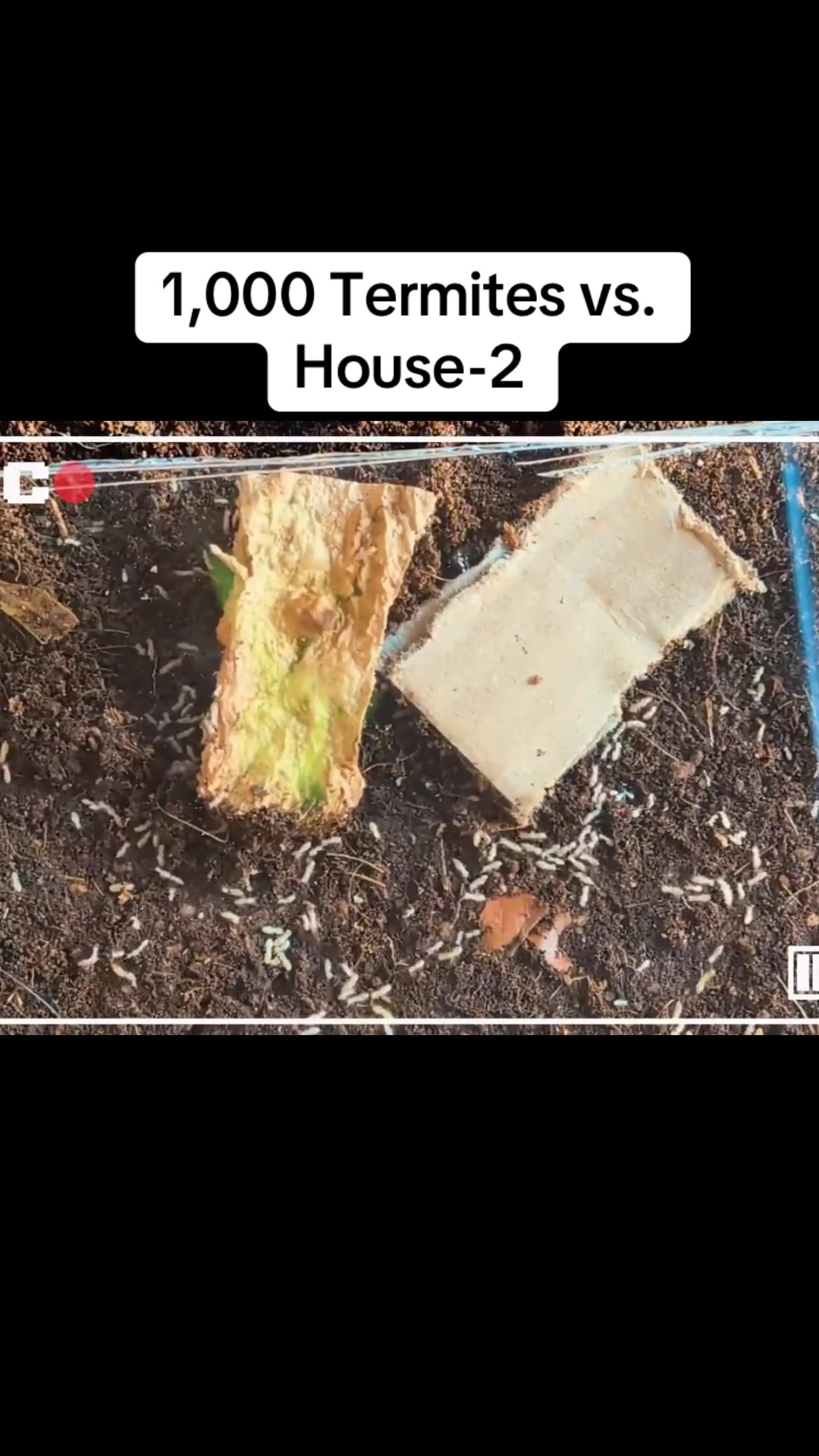 @user5