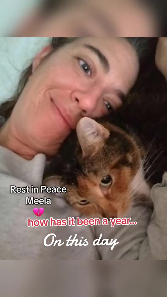 @🐶🎀OzzyBoy&Jenn🎀🐶