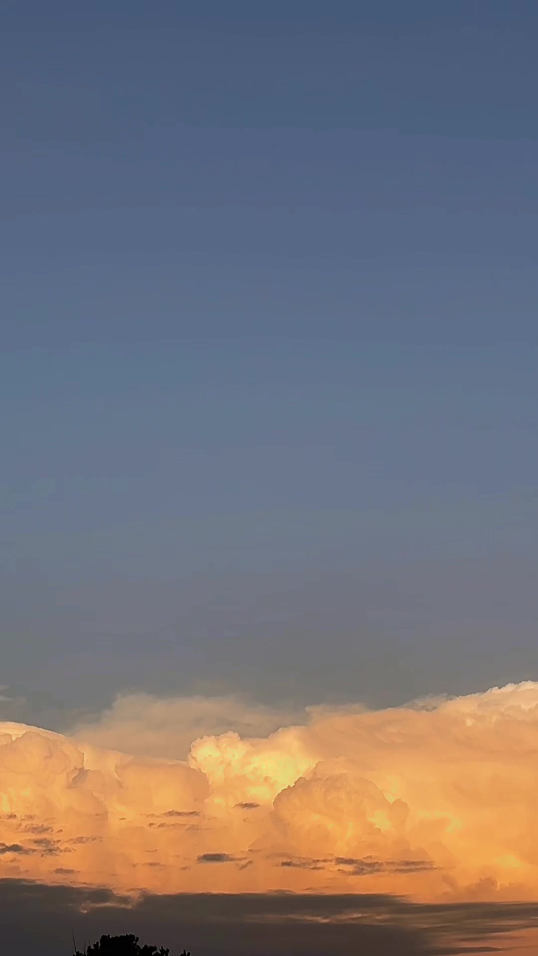 @masterzapata7dan