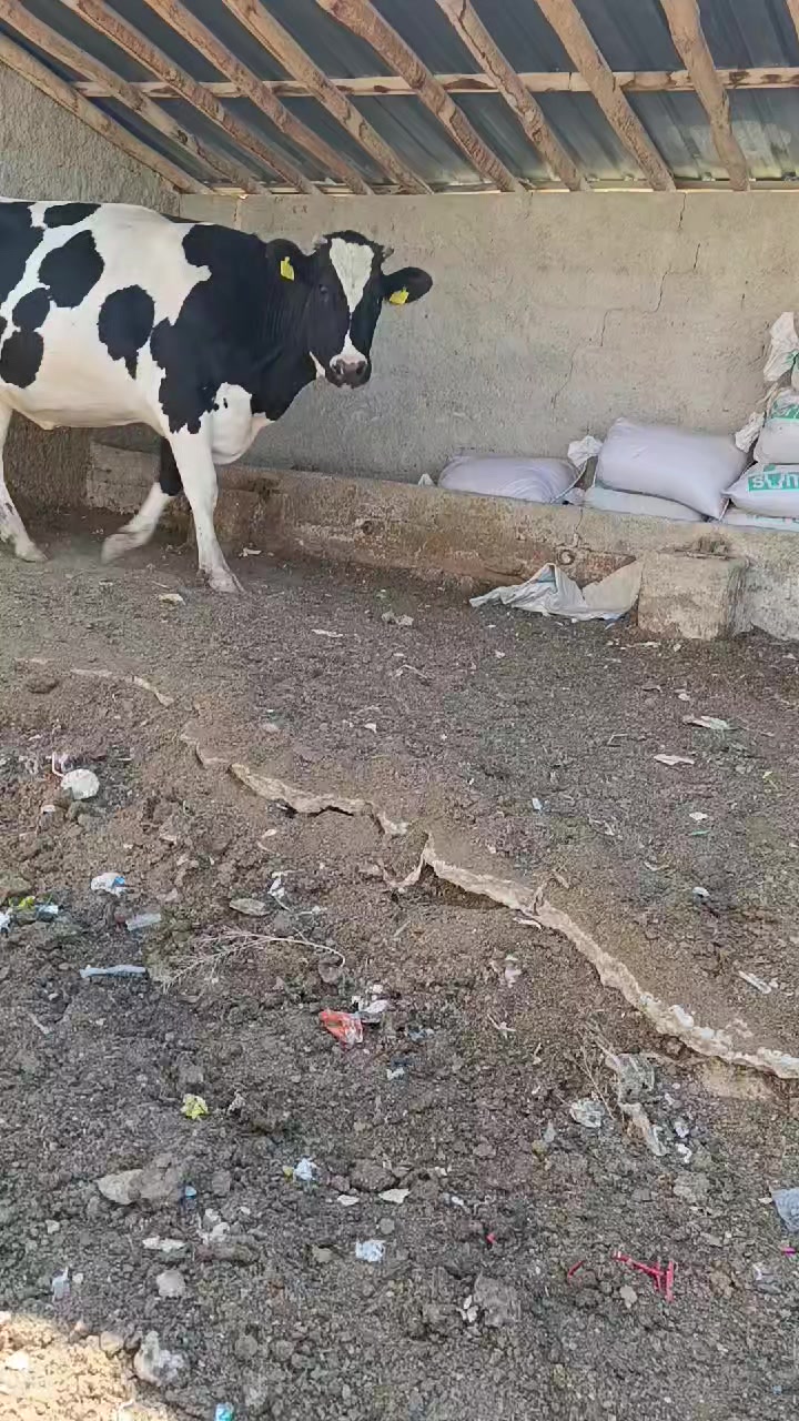 @Mehmet atılgan