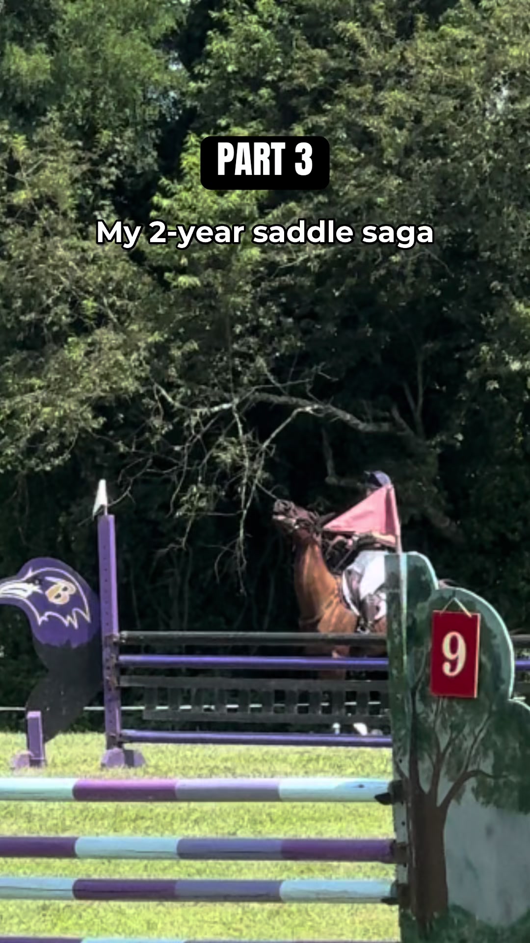 @Bennett Sisters Eventing