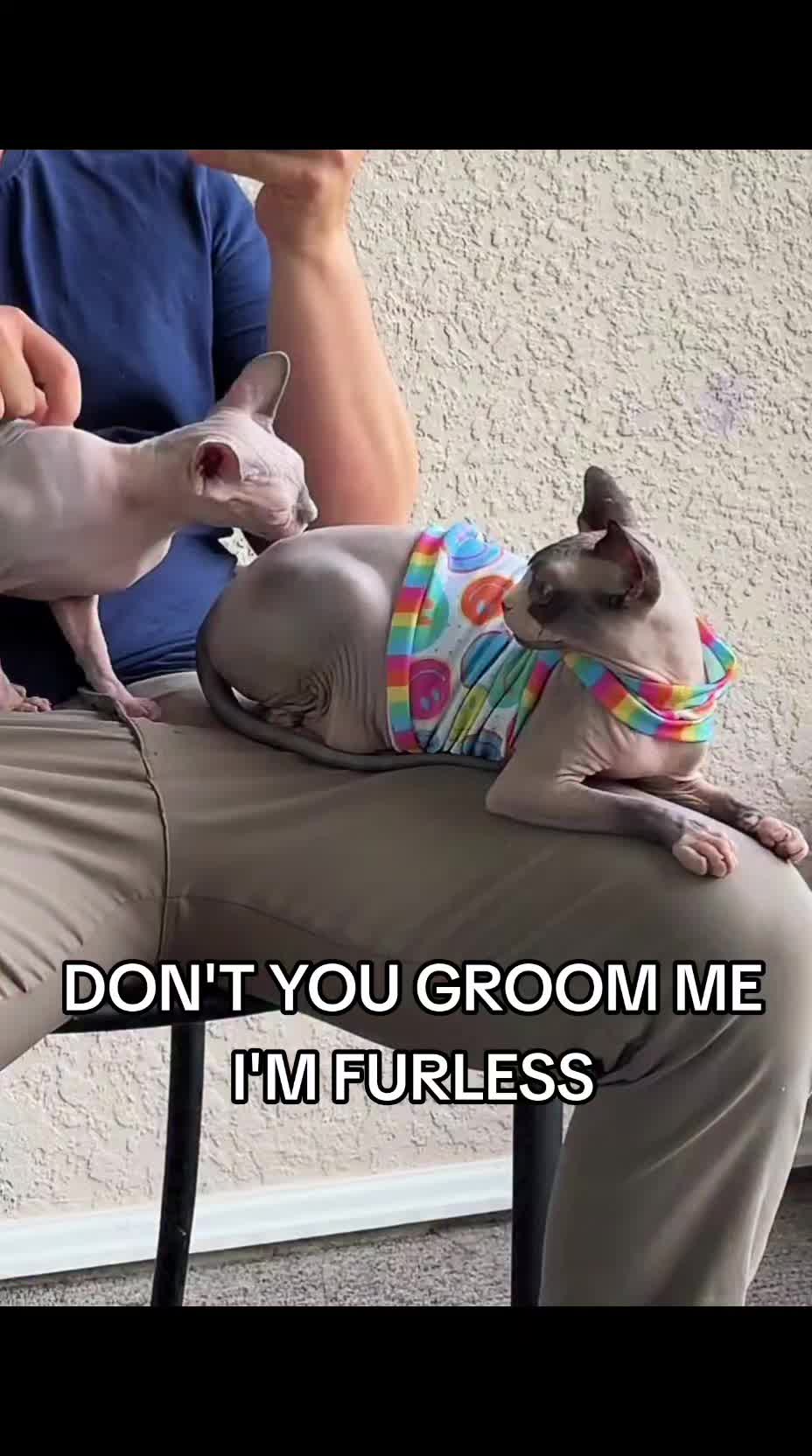 @Wheems