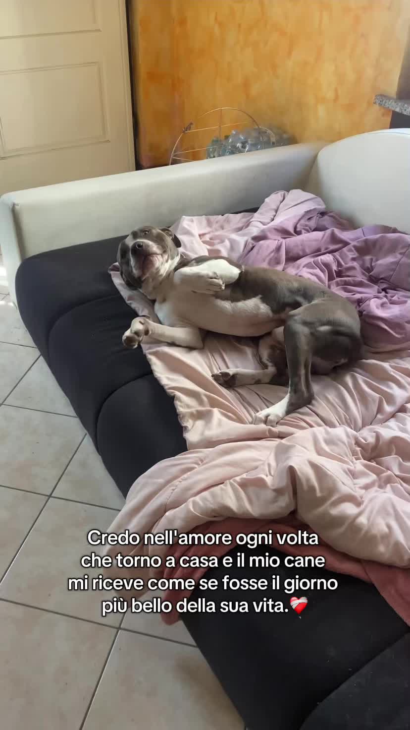 @sabryecasper