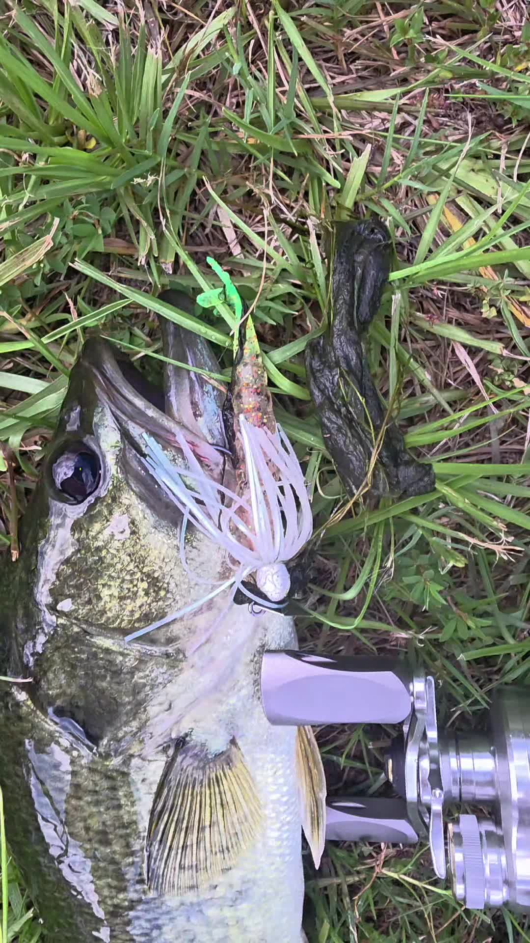 @FishingwithJairo