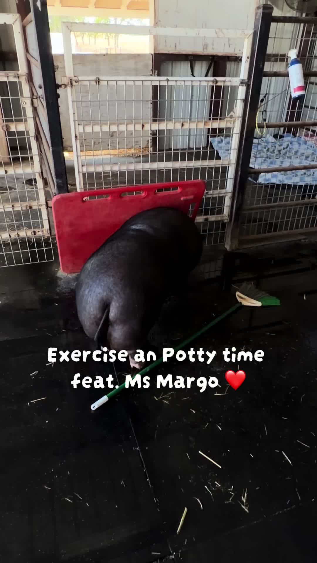 @Pig Luv Co