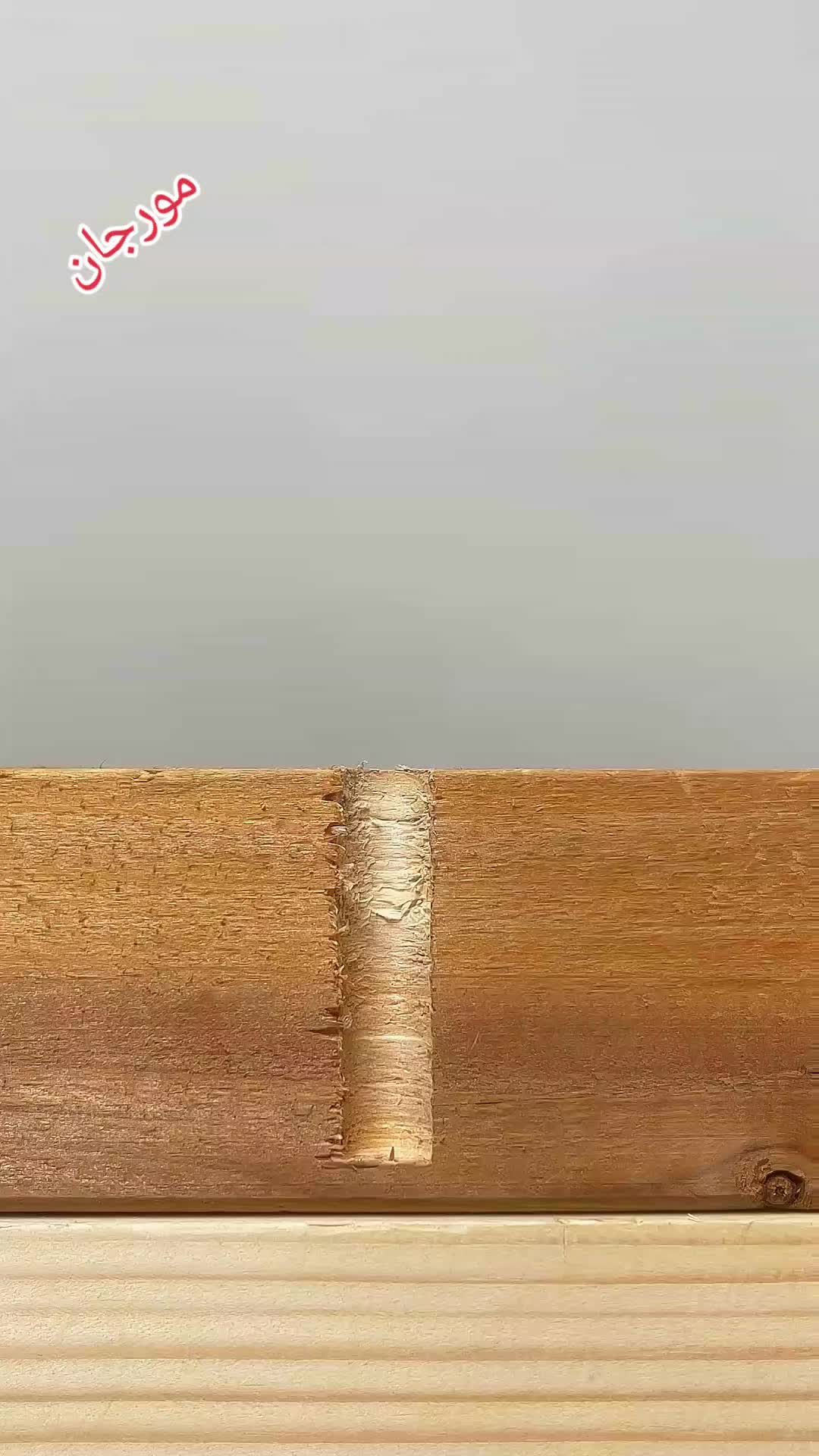 @◉‿◉