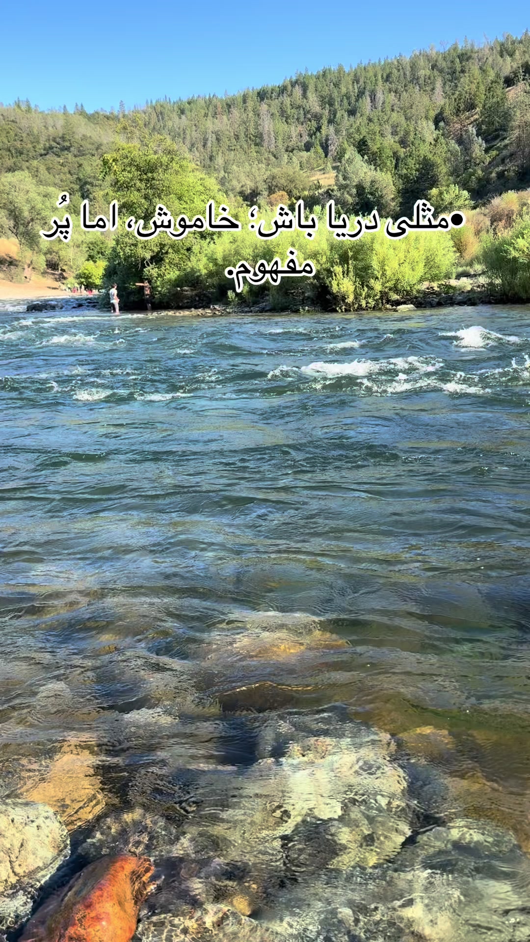 @shakiba Noori