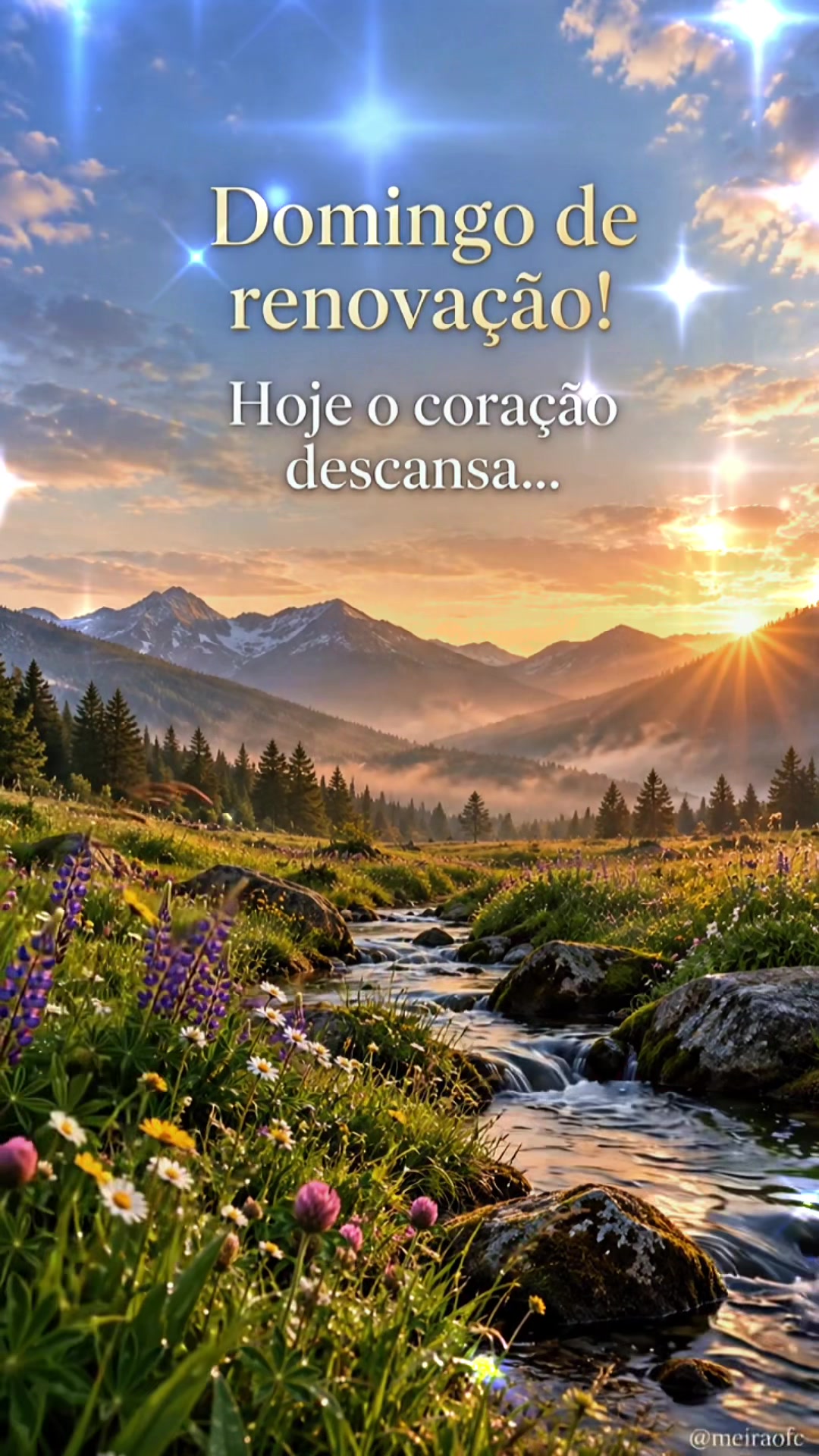 @Meiraofc