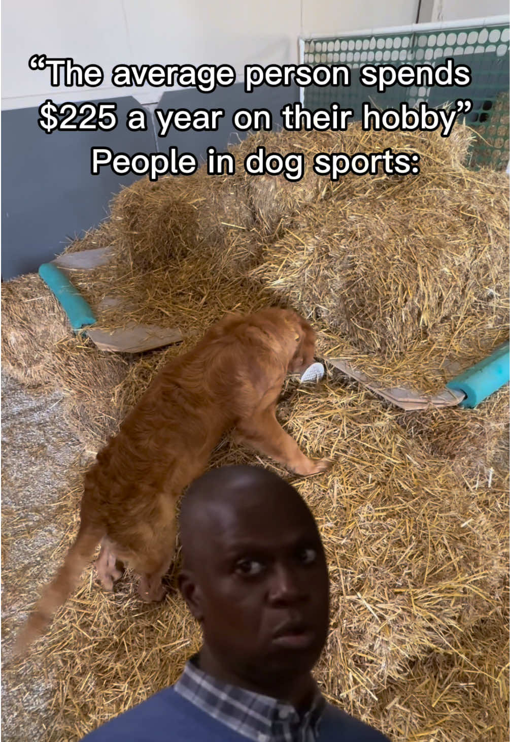 @potsiewithdogs