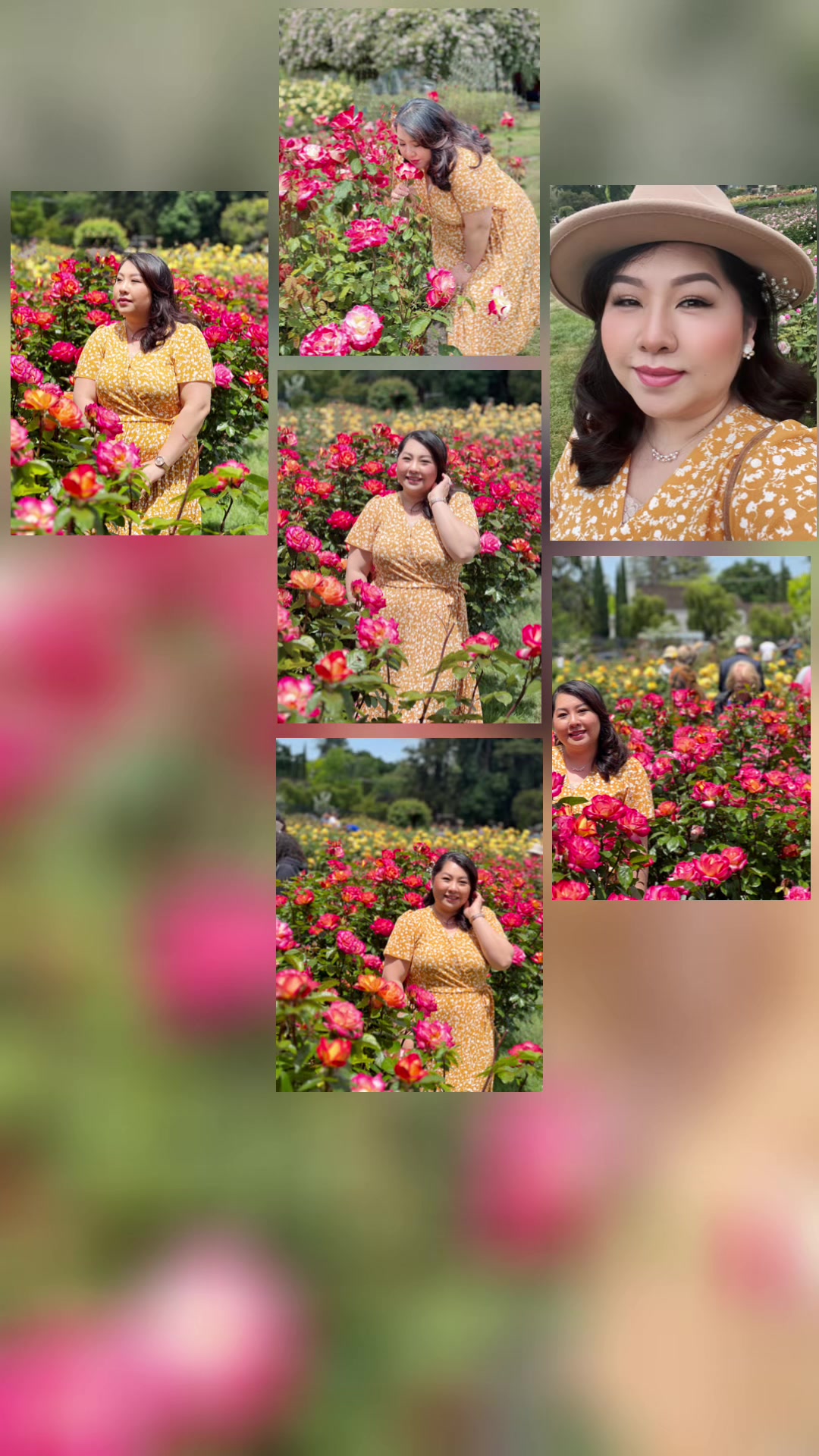 @SVueYang