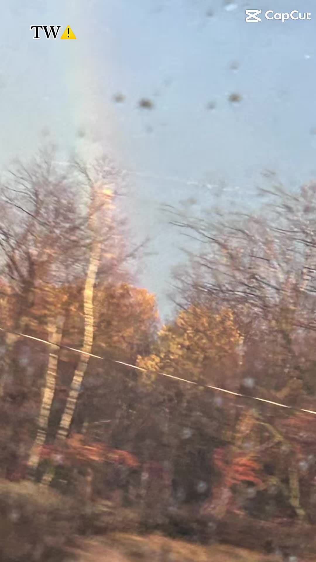 @🐼 🐨 𝒮𝓉𝑒𝓅𝒽 ❄️ 🔥
