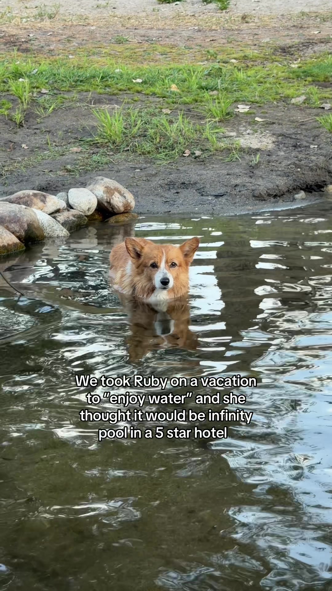 @Maui, Ruby +Hugo