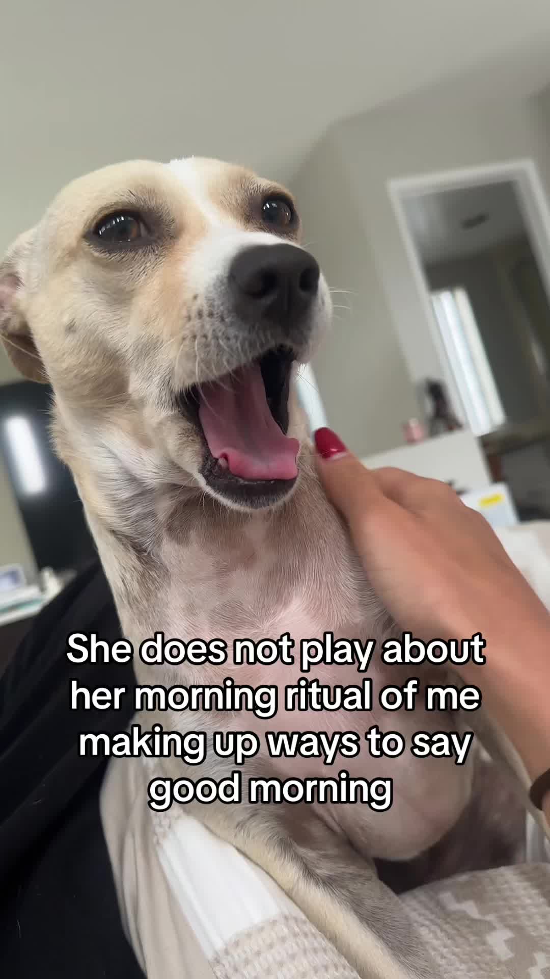 @Dre