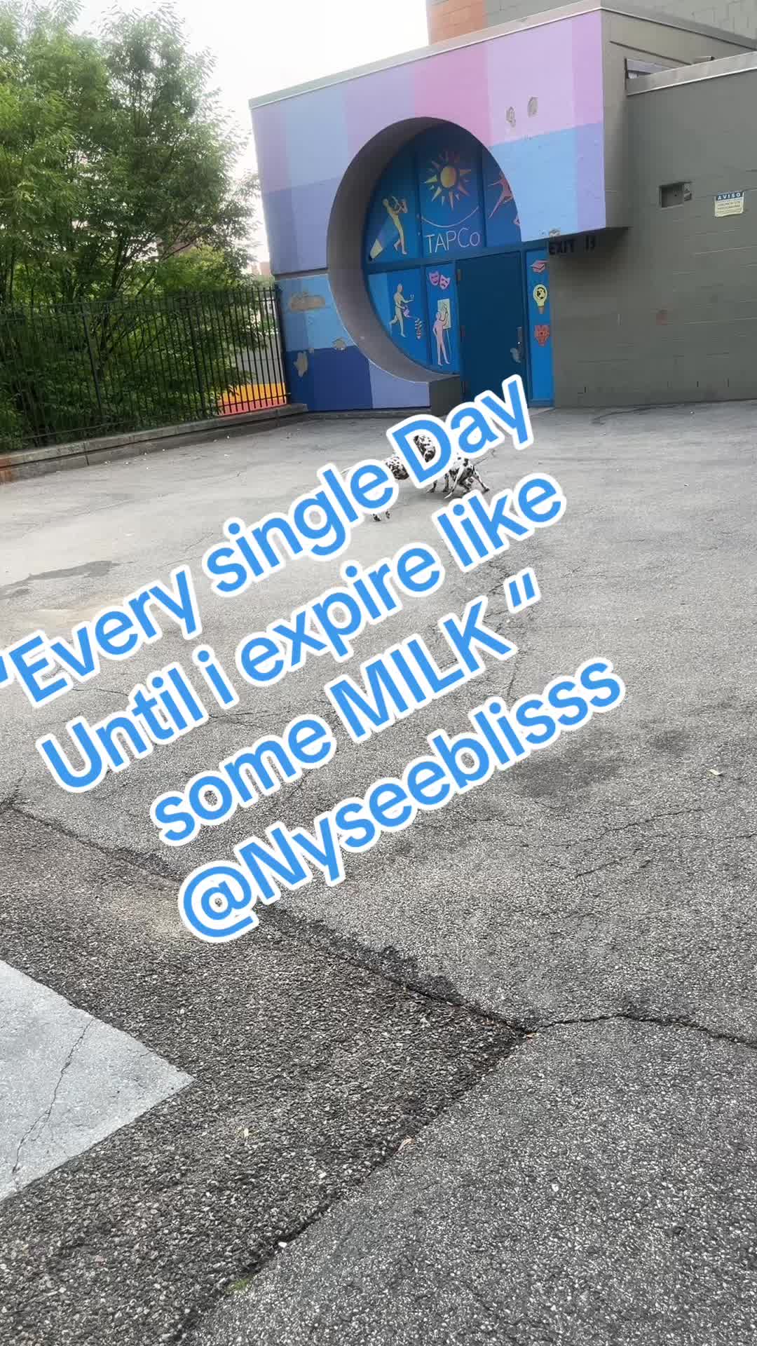 @djblisss5