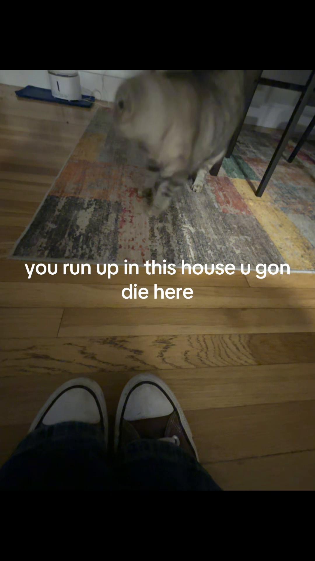 @alana 𝄞