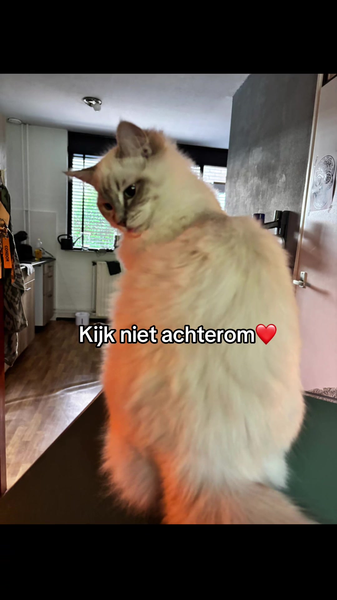 @Op weg naar de rolstoelbus