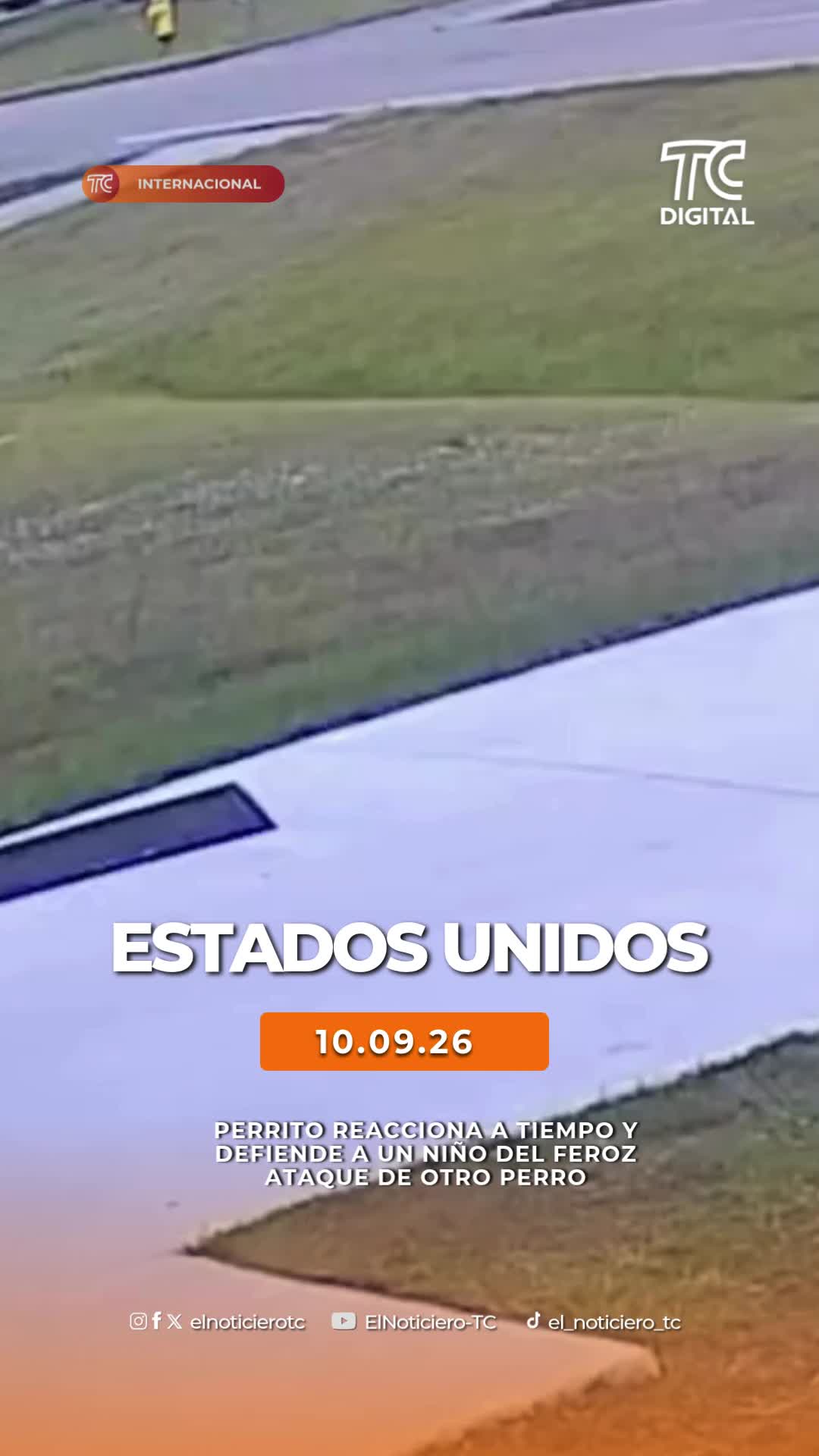 @TC Televisión