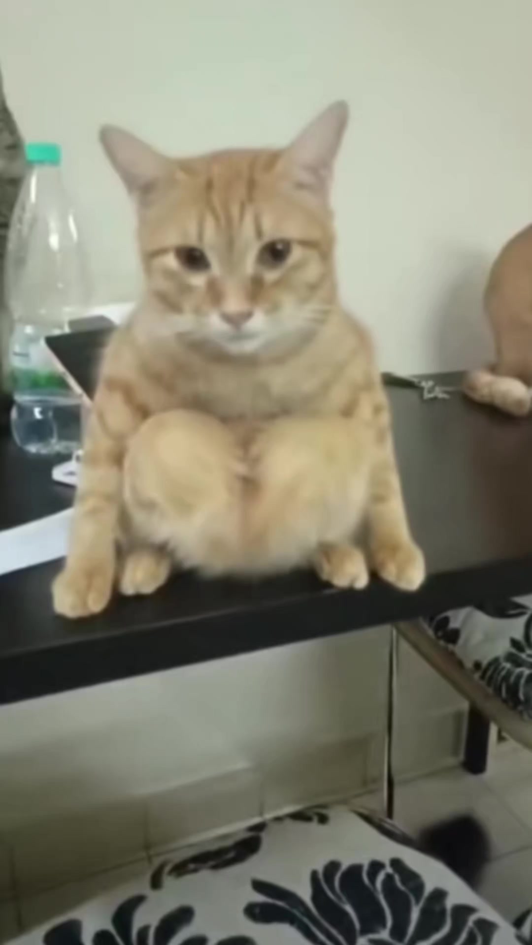 @๐ฒ