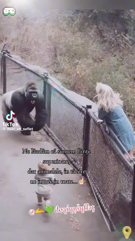 @나는나여