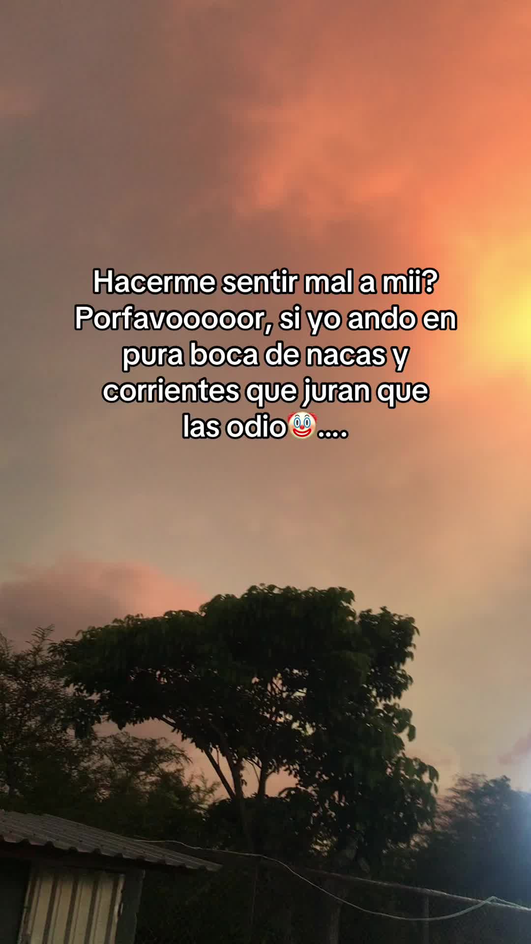 @@pleitez mayrita🥰
