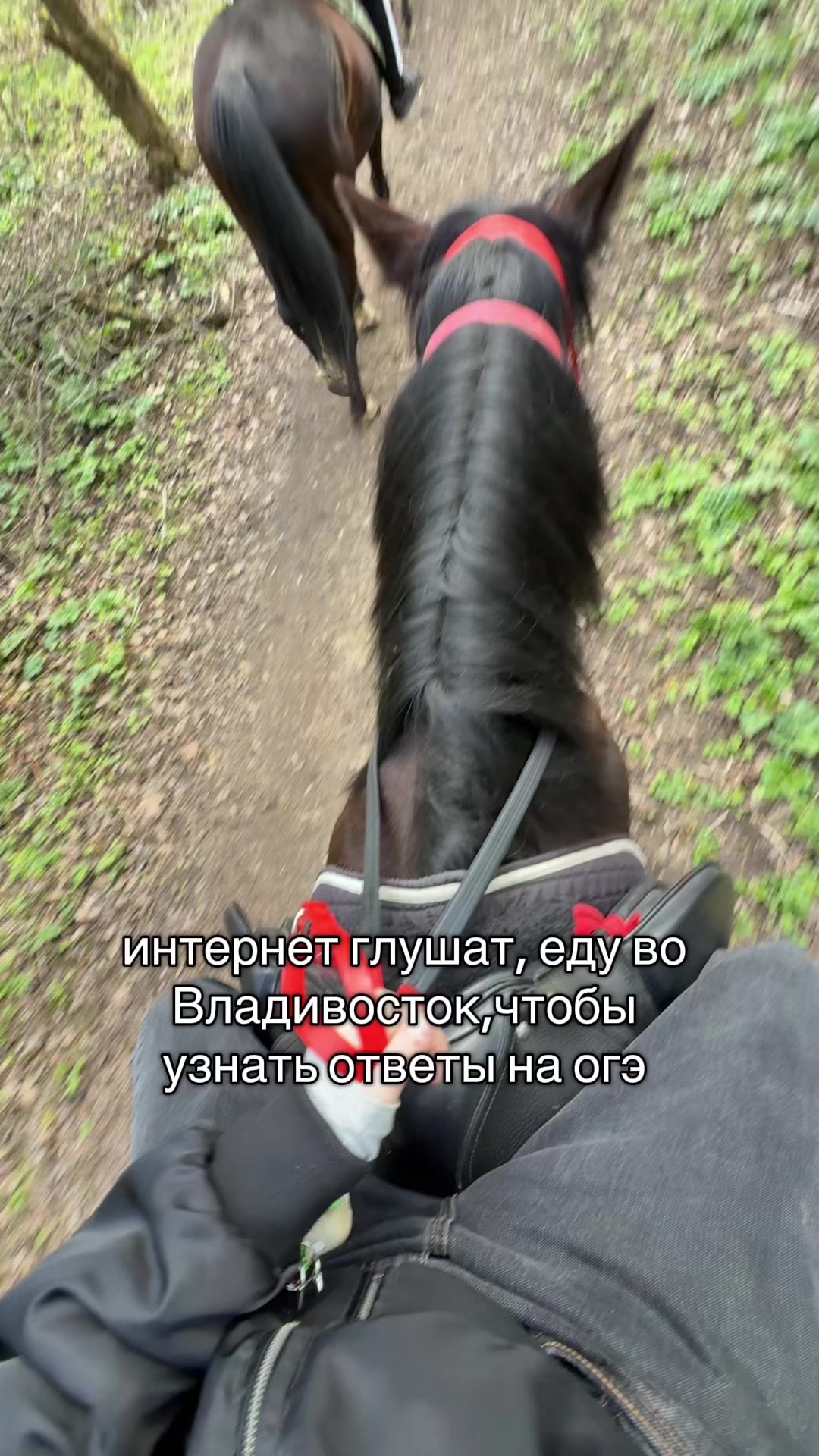 @new.novikovv