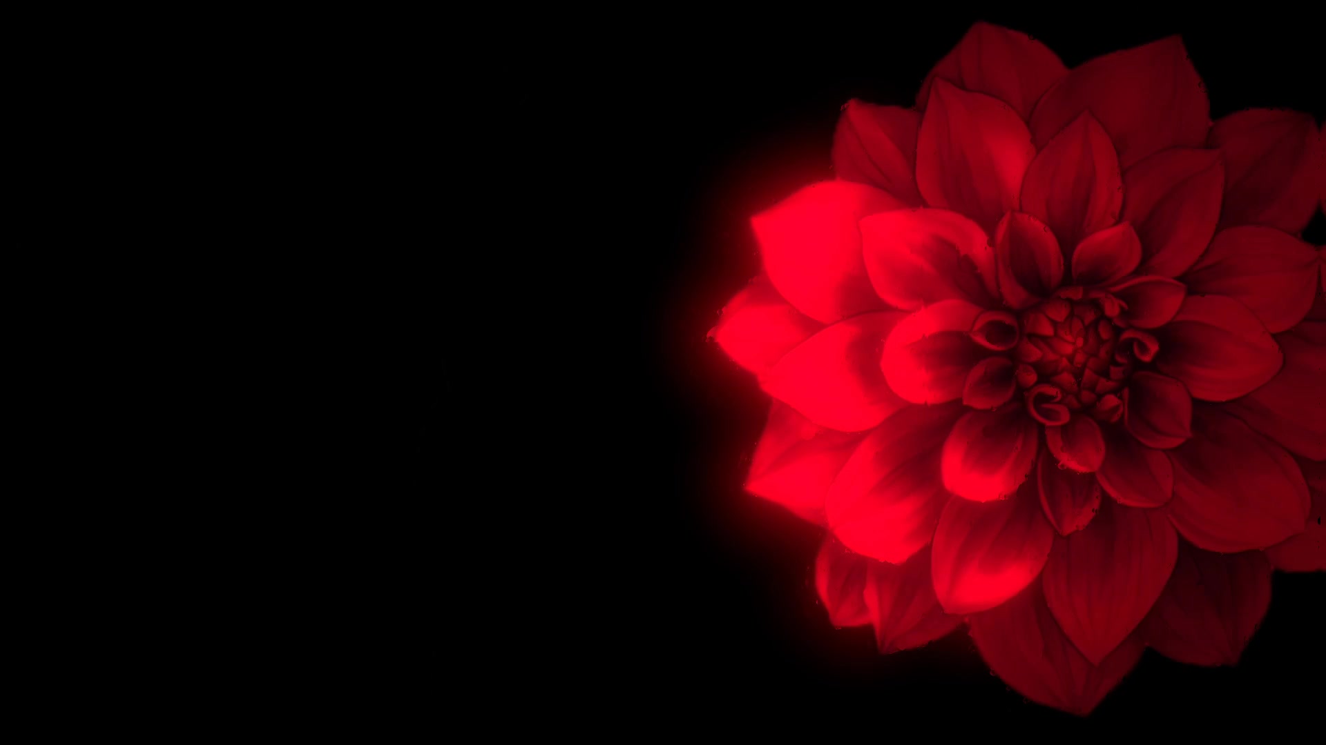 @𝐒𝐏𝐄𝐄𝐃 𝐋𝐘𝐑𝐈𝐂𝐒